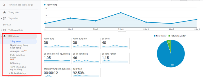 Báo cáo đối tượng google analytics
